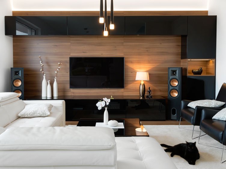 Modern black and white living room design